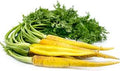 Vegetable Seeds,Garden seeds, Seeds For Planting,Plant Seeds