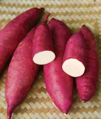 Murasaki Sweet Potato Vegetable Seeds for Planting – Heirloom Non-GMO Dark Pink Tubers –  High Germination