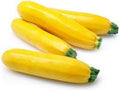 Vegetable Seeds,Garden seeds, Seeds For Planting,Plant Seeds