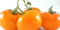 Vegetable Seeds,Garden seeds, Seeds For Planting,Plant Seeds
