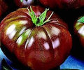 Vegetable Seeds,Garden seeds, Seeds For Planting,Plant Seeds