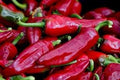 D'Espelette Pepper Seeds for Planting – heirloom & Non-GMO seeds, French chili with mild heat