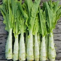 Asparagus Lettuce Seeds for Planting – Heirloom, Non-GMO, Organic Garden Seeds, High Germination, Rare Crunchy Salad Greens