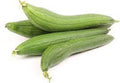 Vegetable Seeds,Garden seeds, Seeds For Planting,Plant Seeds