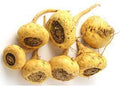 Vegetable Seeds,Garden seeds, Seeds For Planting,Plant Seeds