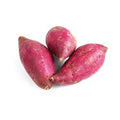 Vegetable Seeds,Garden seeds, Seeds For Planting,Plant Seeds