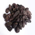 Herb Seeds,Garden seeds, Seeds For Planting,Plant Seeds