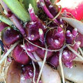 Vegetable Seeds,Garden seeds, Seeds For Planting,Plant Seeds