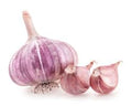 Vegetable Seeds,Garden seeds, Seeds For Planting,Plant Seeds