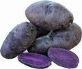 Vegetable Seeds,Garden seeds, Seeds For Planting,Plant Seeds