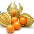 Fruit Seeds,Garden seeds, Seeds For Planting,Plant Seeds