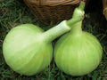 Vegetable Seeds,Garden seeds, Seeds For Planting,Plant Seeds