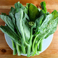 Gailan Seeds – Heirloom Non-GMO Chinese Broccoli Leafy Vegetable Seeds for Planting, Organic Garden Seeds