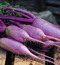 Vegetable Seeds,Garden seeds, Seeds For Planting,Plant Seeds