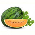 Fruit Seeds,Garden seeds, Seeds For Planting,Plant Seeds