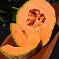 Fruit Seeds,Garden seeds, Seeds For Planting,Plant Seeds