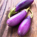 Vegetable Seeds,Garden seeds, Seeds For Planting,Plant Seeds