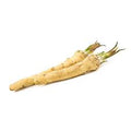 Horseradish Seeds for Planting – Heirloom, Non-GMO, High Germination Organic Root Seeds for Culinary Use