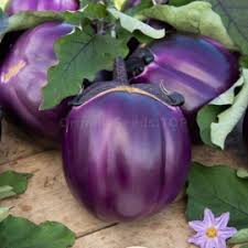 Eggplant Seeds for Planting Violet – Heirloom Non-GMO, High Germination Organic Garden Seeds for Kitchen Gardens