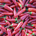 Vegetable Seeds,Garden seeds, Seeds For Planting,Plant Seeds