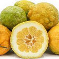 Fruit Seeds,Garden seeds, Seeds For Planting,Plant Seeds