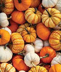 Vegetable Seeds,Garden seeds, Seeds For Planting,Plant Seeds