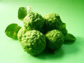 Bergamot Vegetable Seeds for Planting – Heirloom Non-GMO Organic Garden Seeds – Citrus-Scented Herb, High Germination