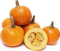 Vegetable Seeds,Garden seeds, Seeds For Planting,Plant Seeds