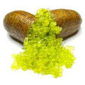 Fruit Seeds,Garden seeds, Seeds For Planting,Plant Seeds