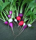 Vegetable Seeds,Garden seeds, Seeds For Planting,Plant Seeds