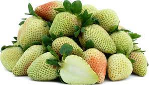 strawberry green seeds Light Green Strawberry Fruit Seeds for Planting – Heirloom Non-GMO Nut – Earthechoseeds