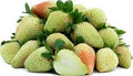 Fruit Seeds,Garden seeds, Seeds For Planting,Plant Seeds
