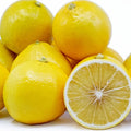 Fresh Light Yellow Orange Fruit Seeds for Planting - Heirloom & Non-GMO Garden Seeds