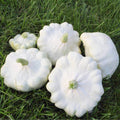 Vegetable Seeds,Garden seeds, Seeds For Planting,Plant Seeds
