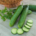 Vegetable Seeds,Garden seeds, Seeds For Planting,Plant Seeds