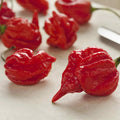Aka Chapeau Pepper Seeds for Planting – Heirloom Non-GMO Unique Chili Vegetable Seeds with High Germination for Organic Gardens