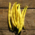 Yellow Wax Bean Seeds for Planting – Heirloom Non‑GMO High Germination Organic Garden Seeds, Tender Snap Vegetables