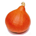 Vegetable Seeds,Garden seeds, Seeds For Planting,Plant Seeds
