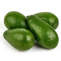 Fruit Seeds,Garden seeds, Seeds For Planting,Plant Seeds