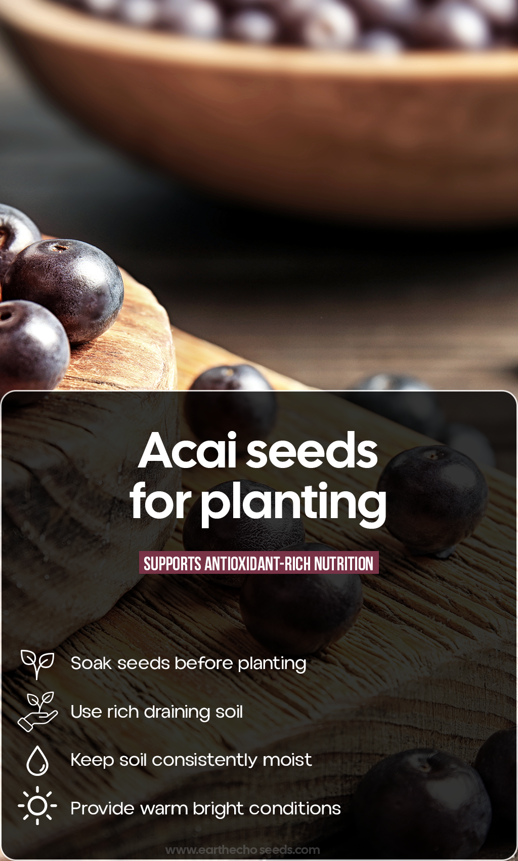 Grow a Tropical Superfruit at Home: Plant Açaí Seeds for a Lush Summer Garden