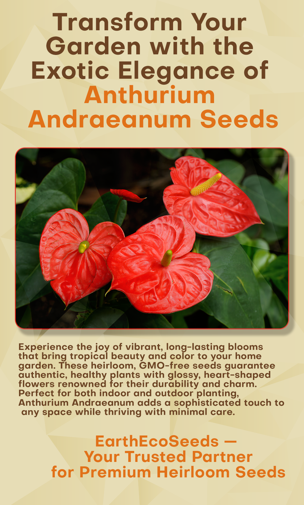Anthurium Andraeanum – Bring Tropical Elegance to Your Garden