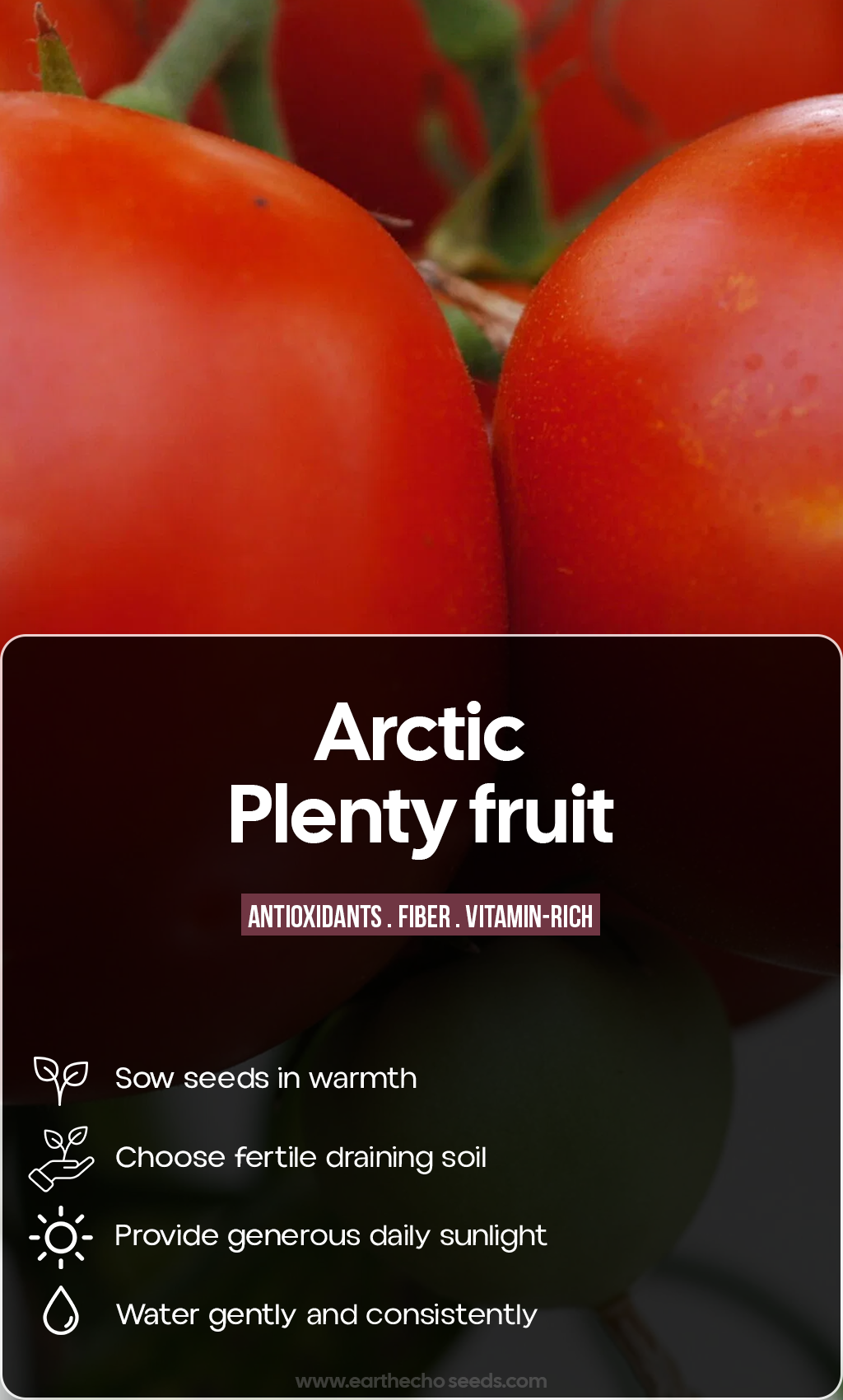 Grow a Garden Full of Sweet Possibilities: Arctic Plenty Fruit Seeds for Summer Planting