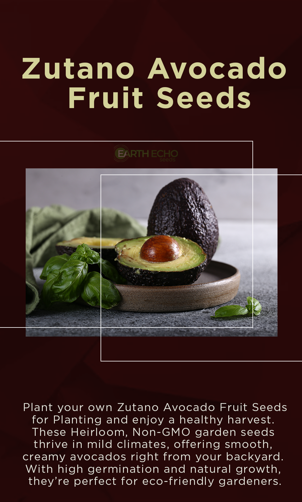 Grow Your Own Zutano Avocado – Fresh from Seed to Table