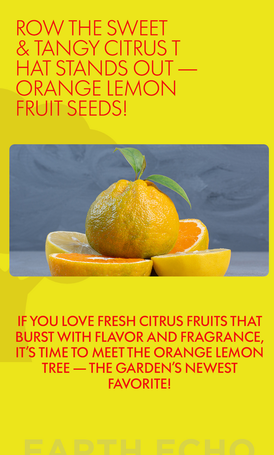 Grow the Sweet & Tangy Citrus That Stands Out – Orange Lemon Fruit Seeds