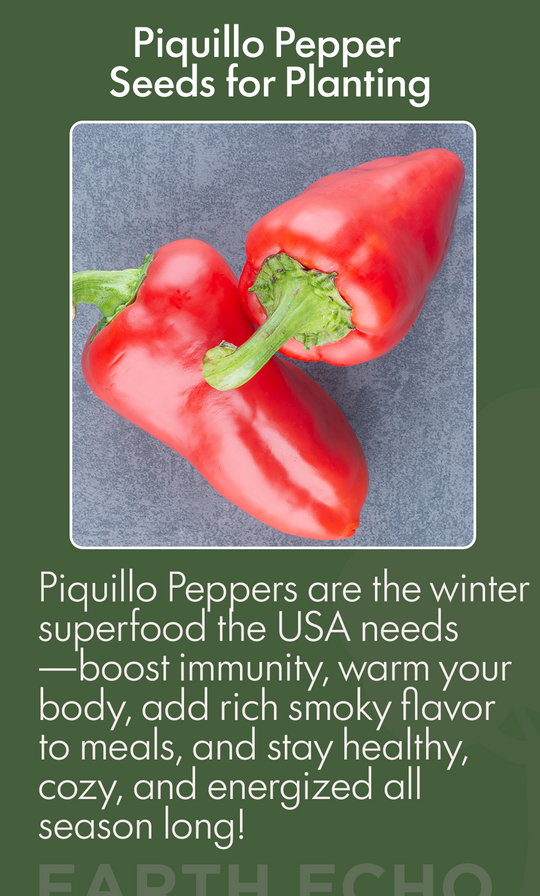 Piquillo Peppers: The Sweet Spanish Secret Every Home Garden Needs