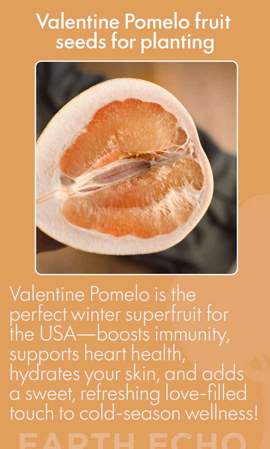 Grow Love at Home: Valentine Pomelo Fruit Seeds for a Sweet, Juicy Garden Experience