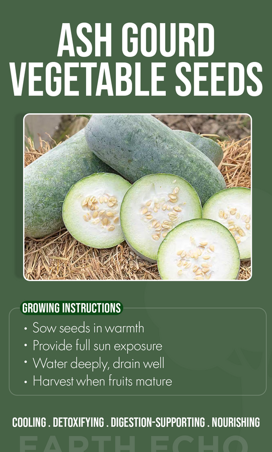 “Grow Comfort From Your Garden: Discover the Winter Magic of Ash Gourd Seeds”