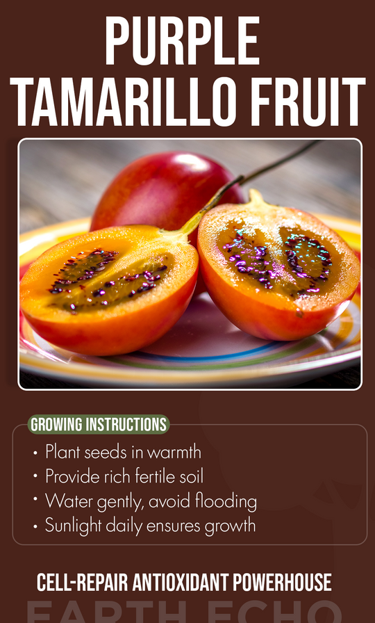 Grow Exotic Flavor at Home: Purple Tamarillo Fruit Seeds for Summer Gardens