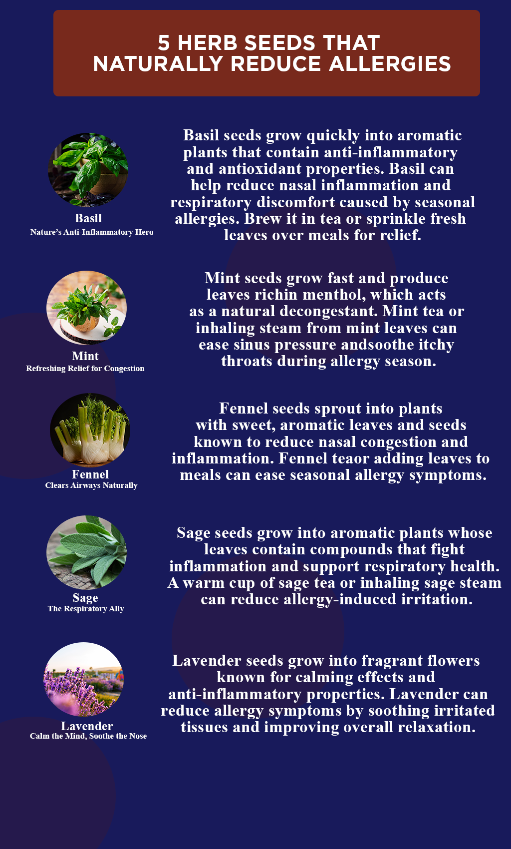 Breathe Easy: 5 Powerful Herbs You Can Grow to Naturally Beat Allergies