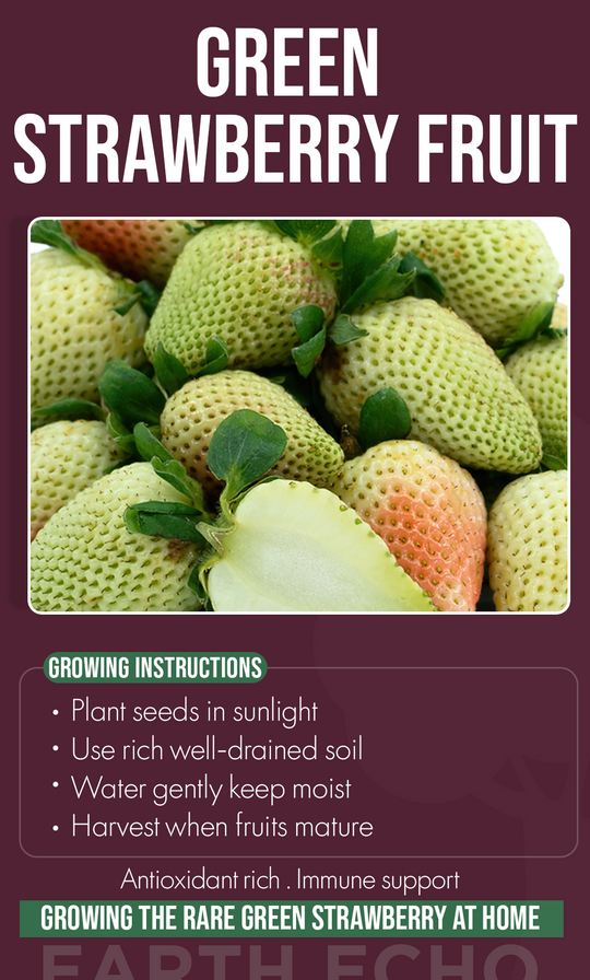 A Garden Surprise: Grow Rare Green Strawberries Even in Winter
